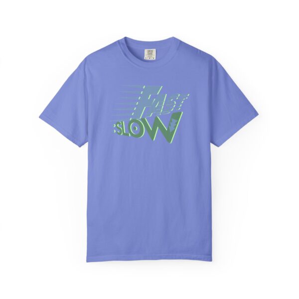Fast:Slow
