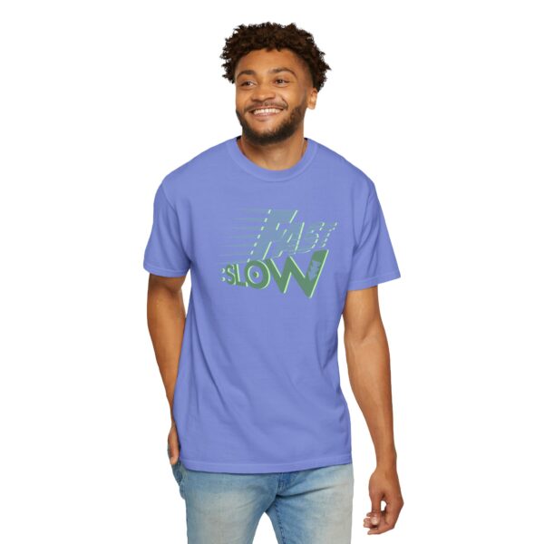 Fast:Slow