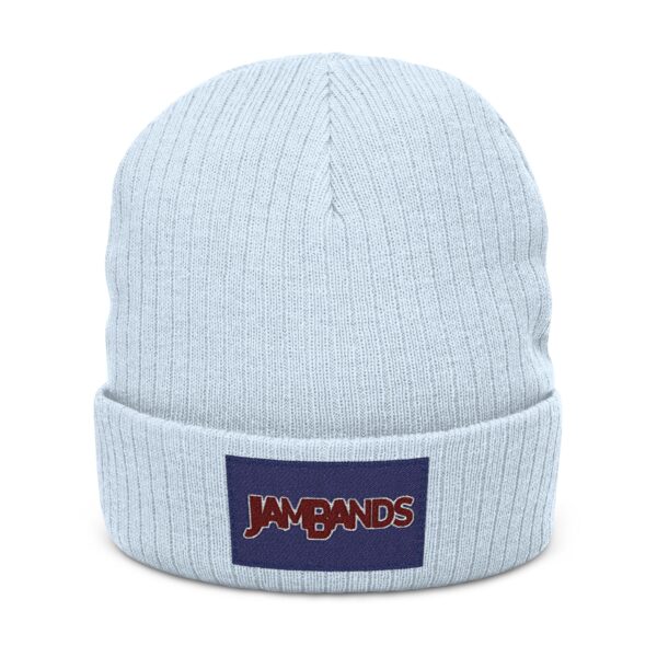 JamBands (Ribbed Knit Beanie)