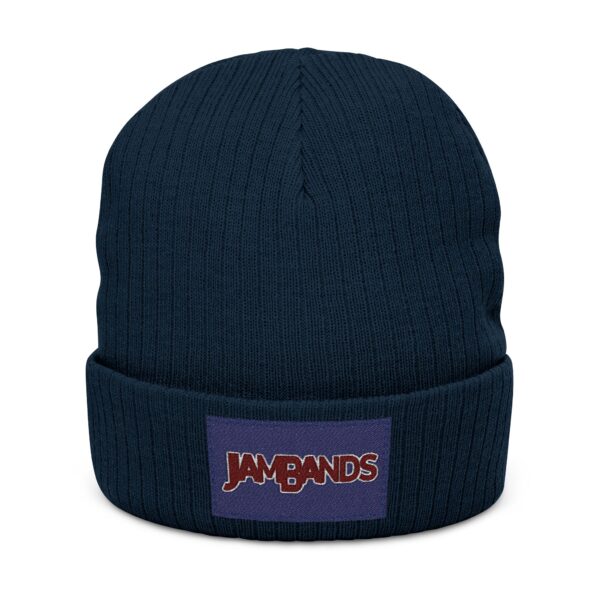 JamBands (Ribbed Knit Beanie)
