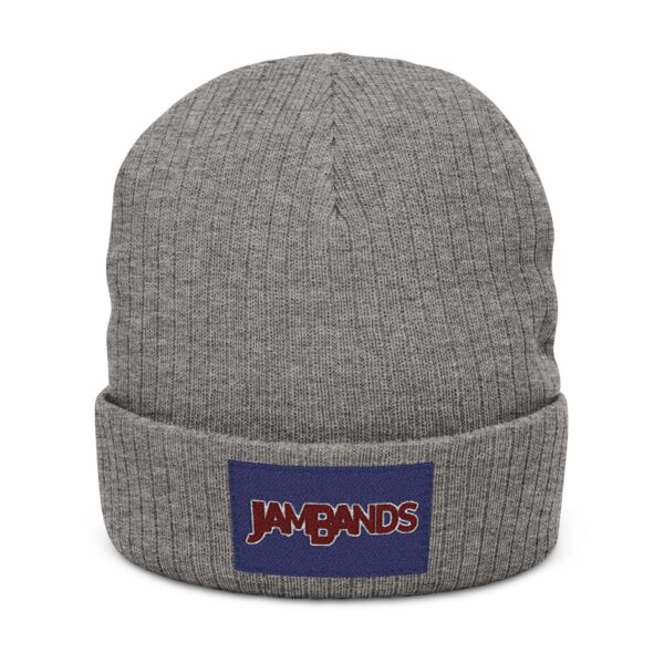 JamBands (Ribbed Knit Beanie)