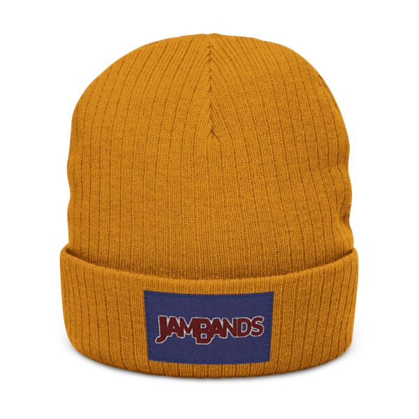 JamBands (Ribbed Knit Beanie)