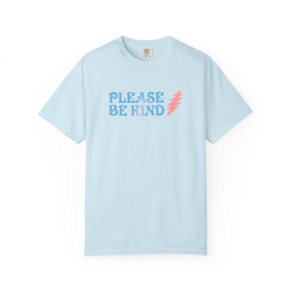 Please Be Kind - Comfort Color