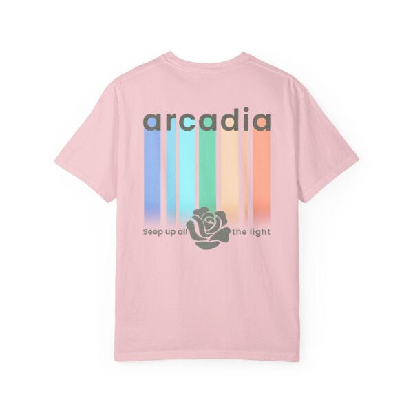 14767399591920919239_2048-1.jpeg Arcadia - Seep Up All The Light